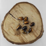 Damla Kesim Kaplangözü Taşı Kolye